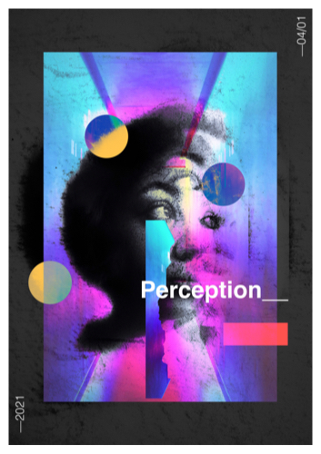 PERCEPTION